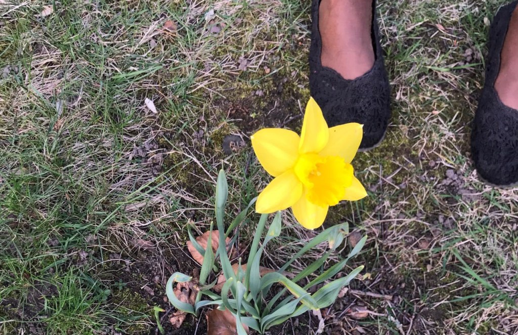 Spring